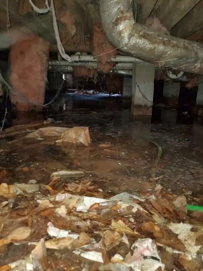 Crawl space flood assessment for Leak Detection & Repair in Clear Lake